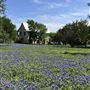 Thistle Ridge Farms