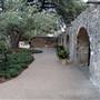 The Alamo