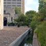 The Alamo