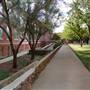 Sul Ross State University
