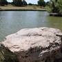 Conder Park