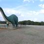 Dinosaur Valley State Park