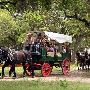 Enchanted Springs Ranch