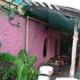 Polvo's