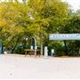Rowing Dock