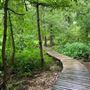 Bringle Lake Park