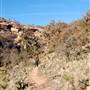 Enchanted Rock State Natural Area