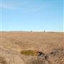 Enchanted Rock State Natural Area
