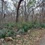 Palmetto State Park