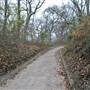 Palmetto State Park