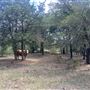 McDonald Cedar Creek Legacy Estate