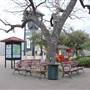 HemisFair Park