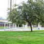 HemisFair Park