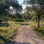 Chick Ranch