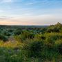 Chick Ranch