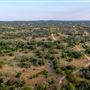 Chick Ranch