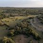 Chick Ranch