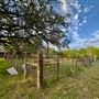 Chick Ranch