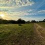Chick Ranch