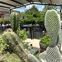 Guadalupe Brewing Company
