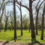 Riverside Park