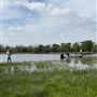 City Lakes Park