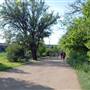 Hike & Bike Trail at Lady Bird Lake