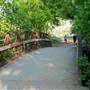Hike & Bike Trail at Lady Bird Lake