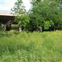 Phil Hardberger Park