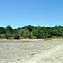 McKinney Falls State Park