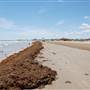 Stewart Beach