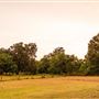 The Oaks of Anahuac