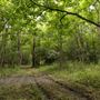 The Oaks of Anahuac
