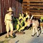Woodys Banquet Barn
