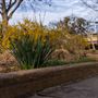 Quakertown Park