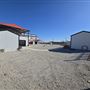My Stomping Grounds