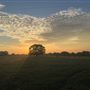Evans Ranch