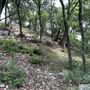 Riva Ridge
