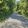Redbud Road