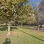 Civic Garden