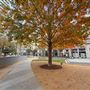 Victory Park