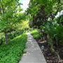 Buffalo Bayou Park