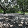 Buffalo Bayou Park