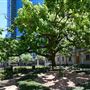 Julia Ideson Building - Houston Public Library