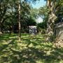 The Oaks of Anahuac