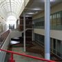 Vivaverse Campus