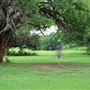 Bill Allen Memorial Park