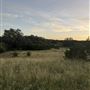 Rockin' Diamond S Ranch