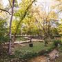 UMLAUF Sculpture Garden and Museum