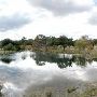 Enchanted Springs Ranch